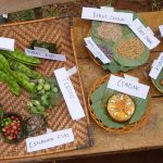 Rempah-rempah yang dipamerkan dalam FESHAPAL