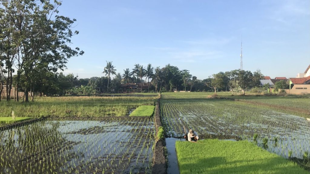 Ketika Iklim Memengaruhi Isi Piring Kita